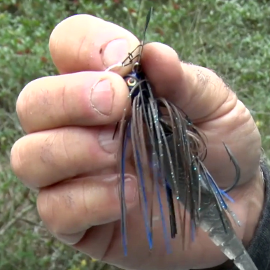 Strike King Thunder Cricket rigged with a KVD Blade Minnow